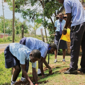 2-7560685911627887614square